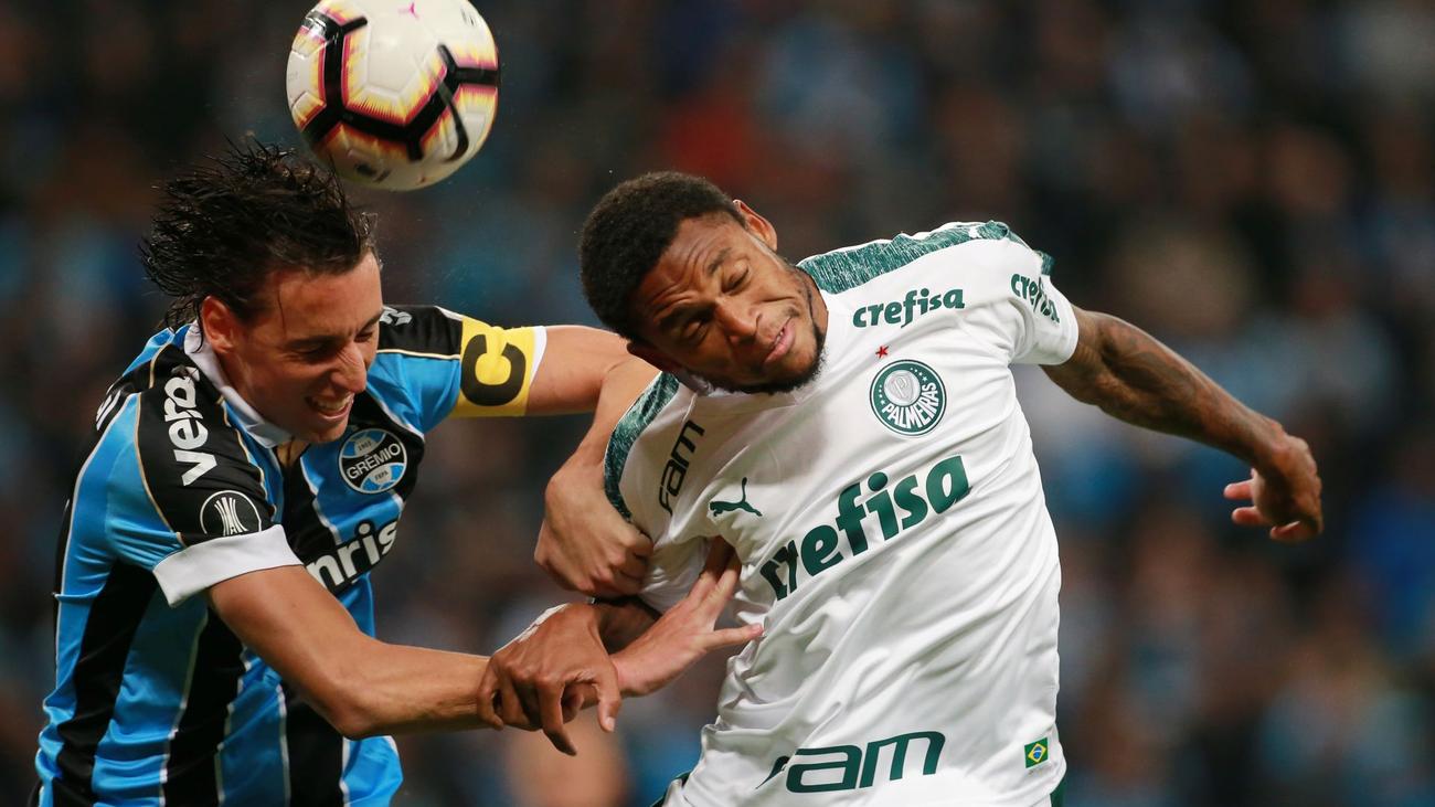 soi-keo-palmeiras-vs-gremio-7h30-ngay-11-5-2023-1