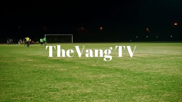 gioi-thieu-the-vang-tv