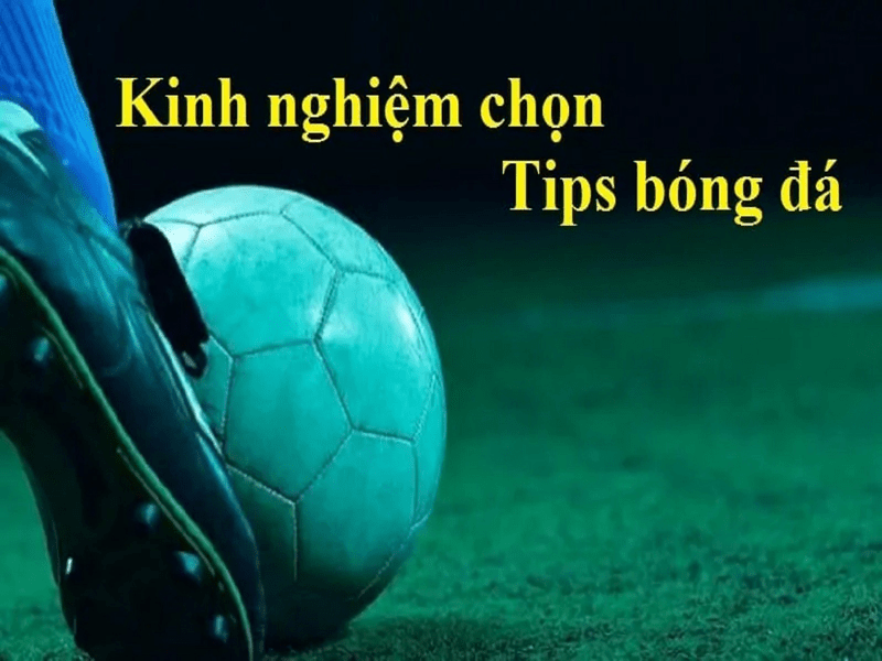 cac-kinh-nghiem-chon-tips-bong-da