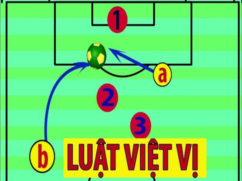 luat-viet-vi-trong-bong-da