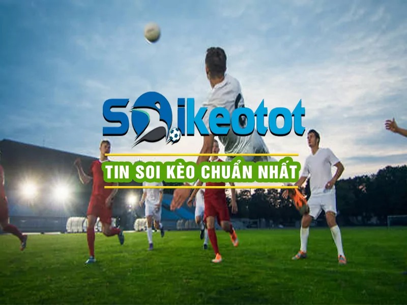 kinh nghiệm soi kèo tại Soikeotot.live