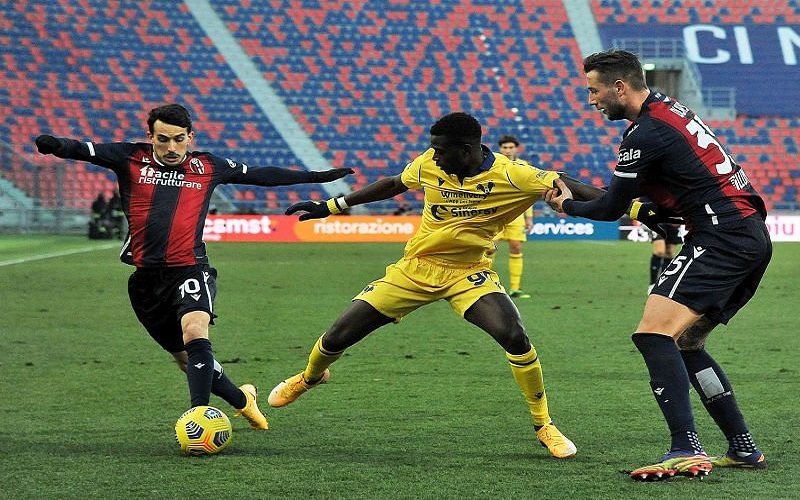 soi-keo-verona-vs-bologna-2h45-ngay-22-1-2022-1