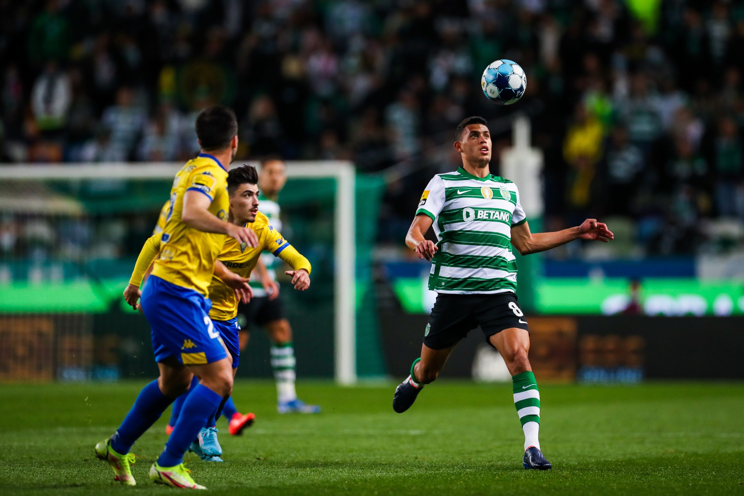 soi-keo-sporting-lisbon-vs-estoril-2h-ngay-28-2-2023-2