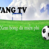 Thevangtv.com – Xem bóng đá trực tiếp & Soi kèo nhà cái miễn phí