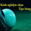 Chia sẻ kinh nghiệm chọn tips bóng đá khi chơi cá độ