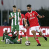Soi kèo Rio Ave vs Covilha 0h, ngày 1/1/2022